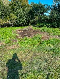 Terreno agricolo
