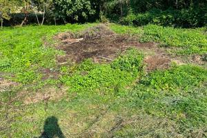 Terreno agricolo