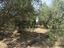 Immagine 25