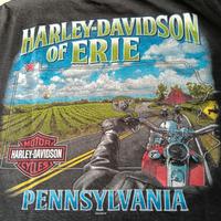 Harley Davidson t-shirt taglia L