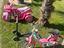 Immagine 4