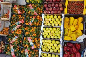 Attivita gastronomia frutta e verdura ben avviata