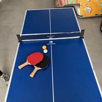 Tavolo  mini ping pong