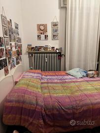 Lascio camera in Borgo Venezia VR