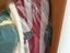 Immagine 3