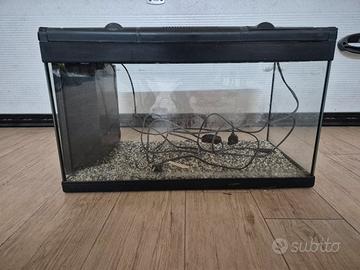 Acquario 60 litri completo