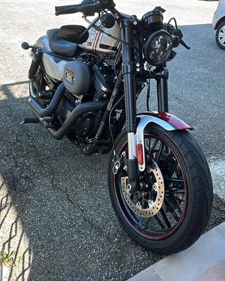 Harley Davidson Roadster  (2020) esemplare unico