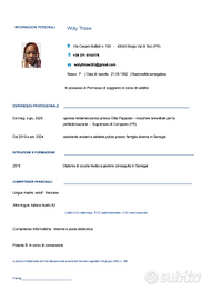 Lavoro come badante o altri