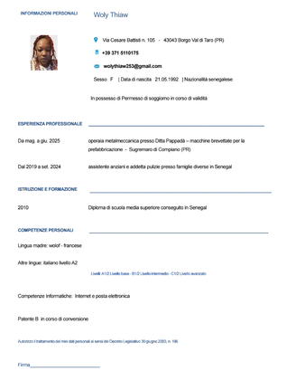Lavoro come badante o altri