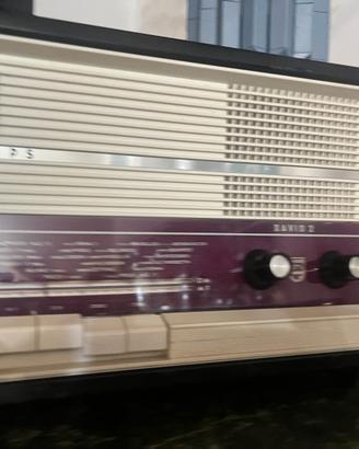 Philips David 2 anni 60