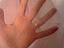 Immagine 5