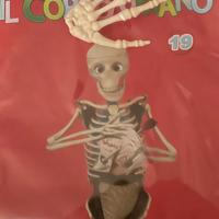 fascicoli dal num. 19 al num 62