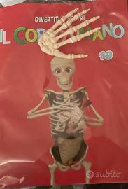 fascicoli dal num. 19 al num 62