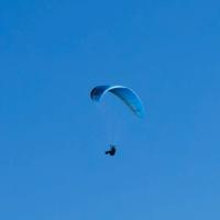 Vela parapendio Advance alpha 5/26