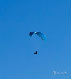 Vela parapendio Advance alpha 5/26