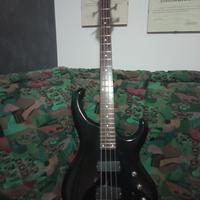 Basso Elettrico Alba