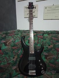 Basso Elettrico Alba