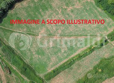 Villa o villino Dovera [Cod. rif 3272158VTG]