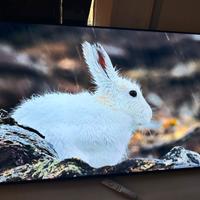 Samsung 55 Qled 8k