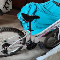 Bicicletta mountain bike