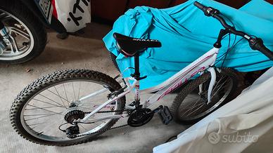 Bicicletta mountain bike