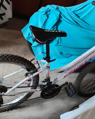 Bicicletta mountain bike