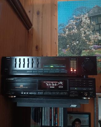 Yamaha e pioneer