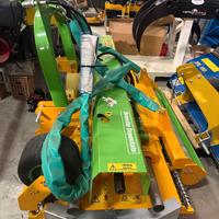 RASAERBA *PIATTO* SALF