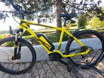 ebike 