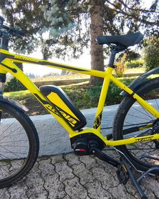 ebike 