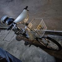 bici con pedalata assistita