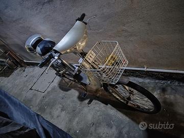 bici con pedalata assistita