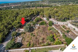 Rustico da ristrutturare con terreno agricolo