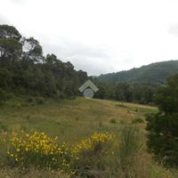 TER. AGRICOLO A GUALDO CATTANEO