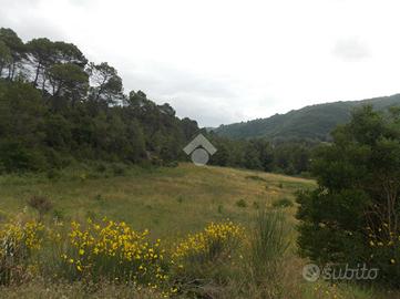 TER. AGRICOLO A GUALDO CATTANEO