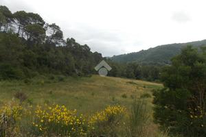 TER. AGRICOLO A GUALDO CATTANEO