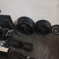 145 kg di dischi 