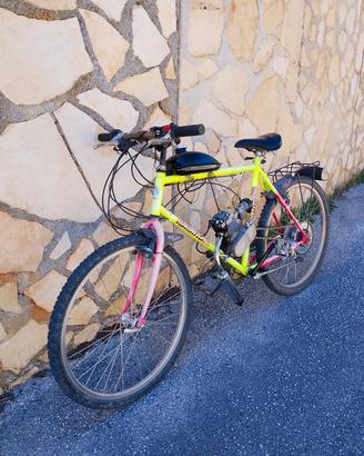 bici a motore 50cc 2t a miscela 