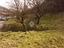 Immagine 27
