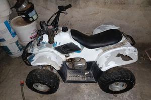 Quad 50