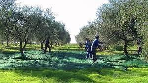 Terreno di 1250 m² a Terracina - Vista 2