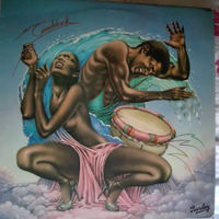 Dischi in vinile afrobeat percussion ethnic