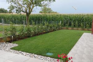 Piano terra 2 camere