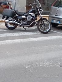 isempre tagliandata 