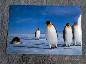 Sottopiatto Plastificato Pinguini Antartide