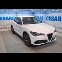 ALFA ROMEO Stelvio 2.2 t Veloce Q4 210cv auto
