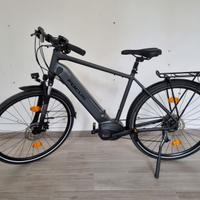 ebike Focus Planet2