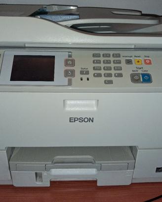 stampante professionale epson
