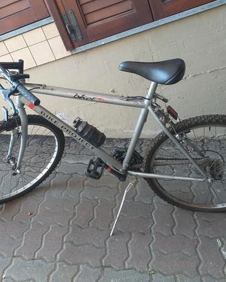 bici audi
