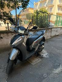 Sh 300 sport